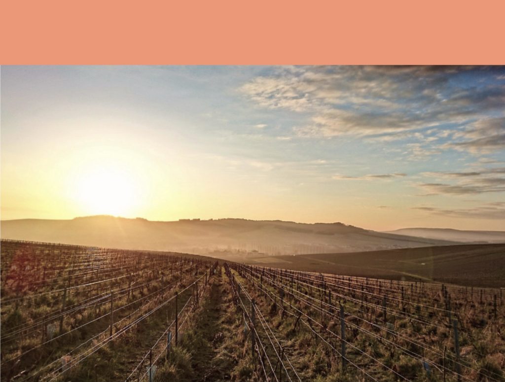 Les Bancels terroir Côte de Beaune crémant de Bourgogne Parigot